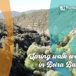 Key Talks: Spring walk events